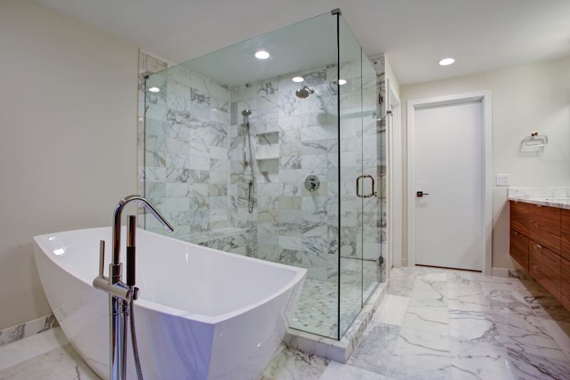 Stylish Shower and Tub Combo